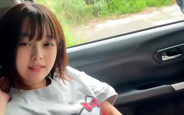 Japanese Couple Can't Keep Their Hands Off Each Other in the Car